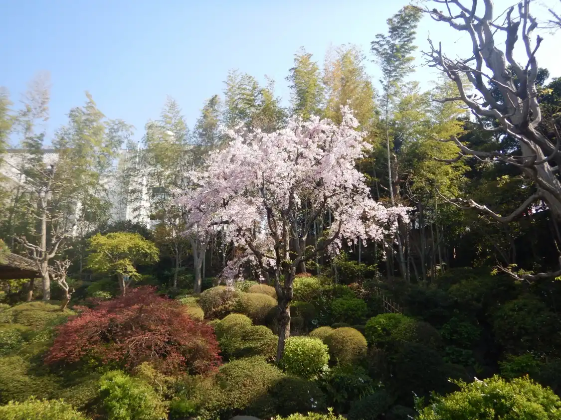 야쿠시 분수 공원 주변 호텔
