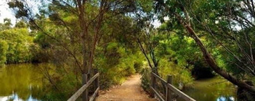 Newport Lakes Reserve