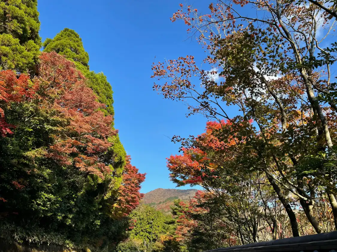 Hotels near Shirakumo Pond