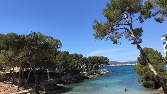 Calo d'en Pellicer