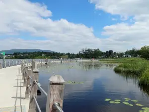 Acres Lake Floating Boardwalk