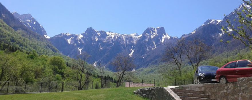 Bijela