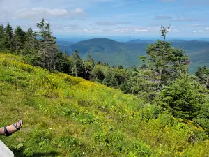 The Saint Bruno Scenic Viewing Center