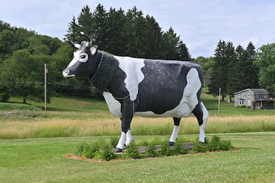 The Big Cow