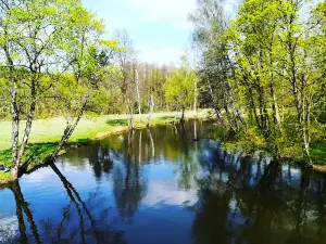 Wysadzony Most Na Gwdzie Jastrowie / Jastrow
