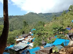 Kura Kura