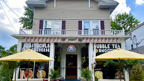 CT Palm Trees and Tropicals