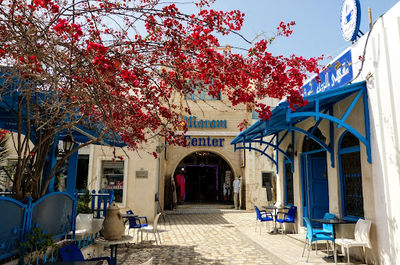 Medina of Houmt Souk