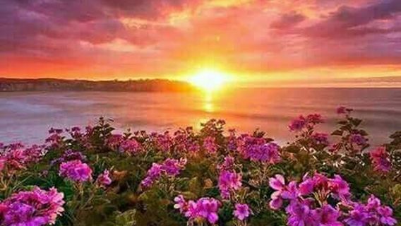 วัดโคกสว่าง