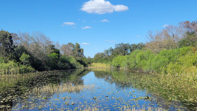 Trailhead Neighborhood Park