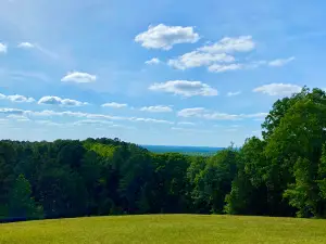 Little Mountain Viewpoint