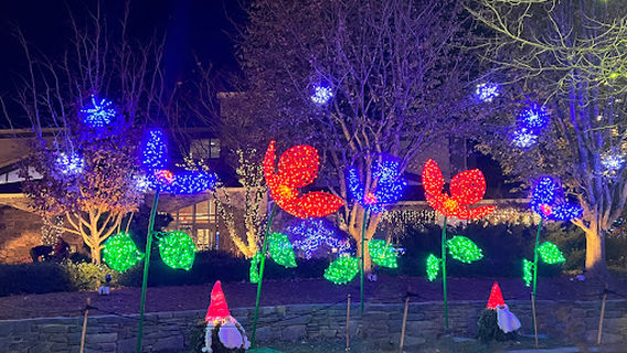 AMF Star Lanes - Asheville