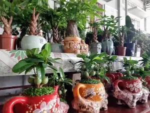 Chùa Kim Long Bến Tre