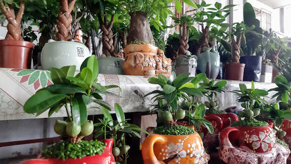 Chùa Kim Long Bến Tre