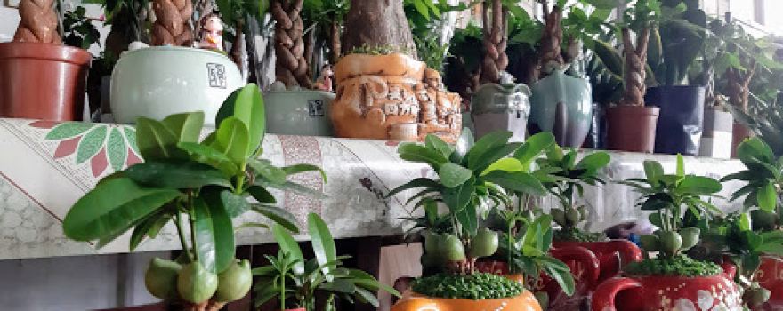 Chùa Kim Long Bến Tre