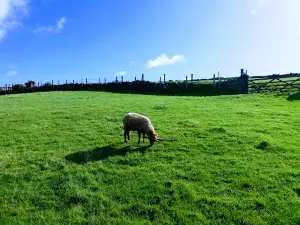 Cregneash