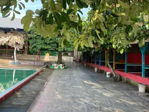 POOL WATERPALL spurs