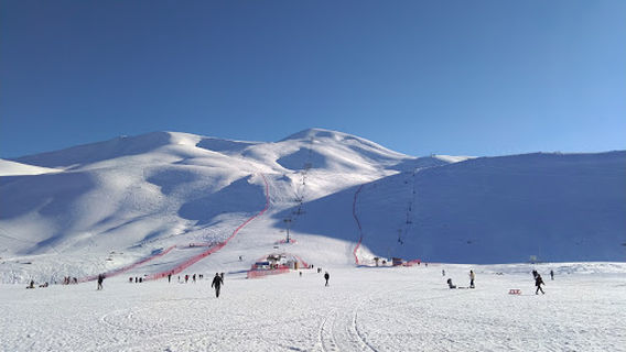 Bingol Ski Center of insects