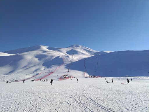 Bingol Ski Center of insects