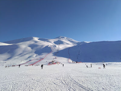 Bingol Ski Center of insects