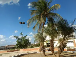 Square Dr José Augusto