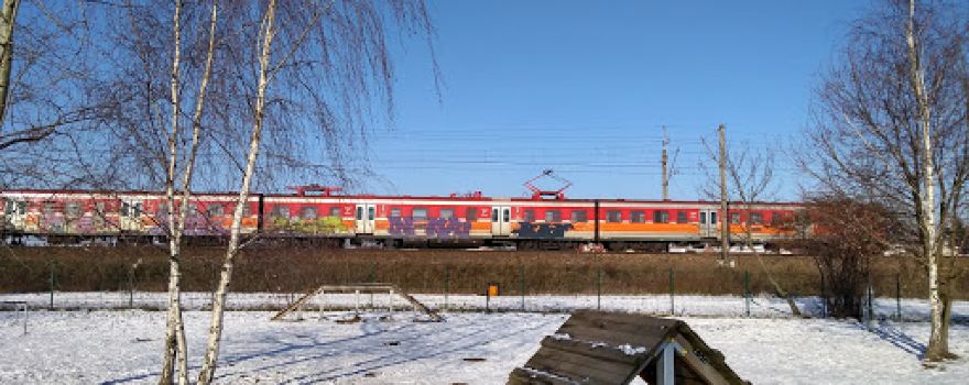 Wybieg dla psów - Plewiska