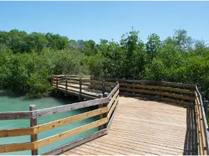 Sand Point Nature Preserve