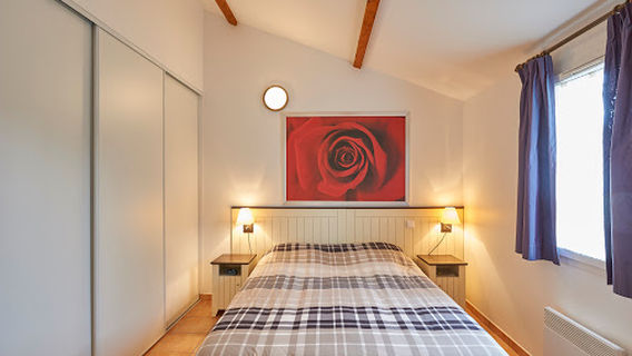 L'Aveneau - Vieille Vigne