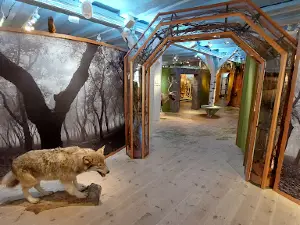 Kristianstad Art Gallery