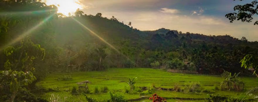 Wisata taman bunga batu besar