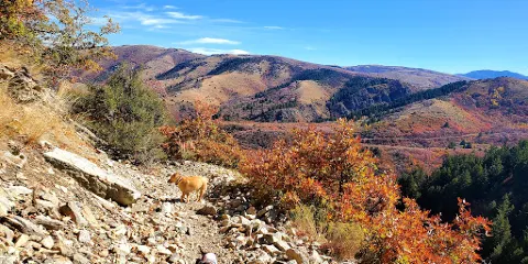 Box Elder Canyon