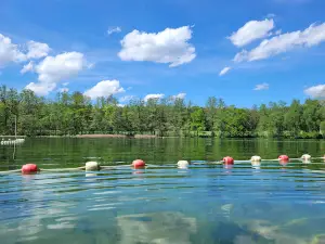 Waldbad Schmannewitz