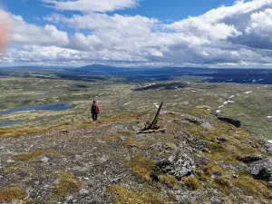 Forollhogna National Park