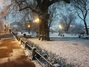 Park
