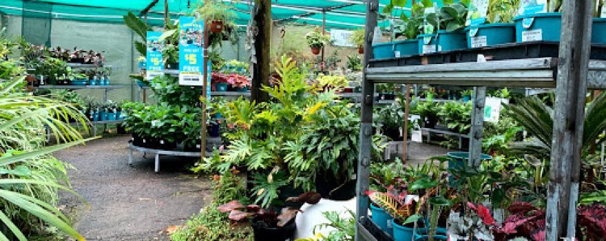 Kambarang Garden Centre
