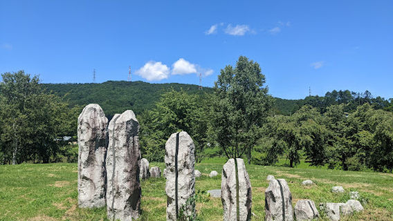 Museum Mineralist Earth Jewelry Box