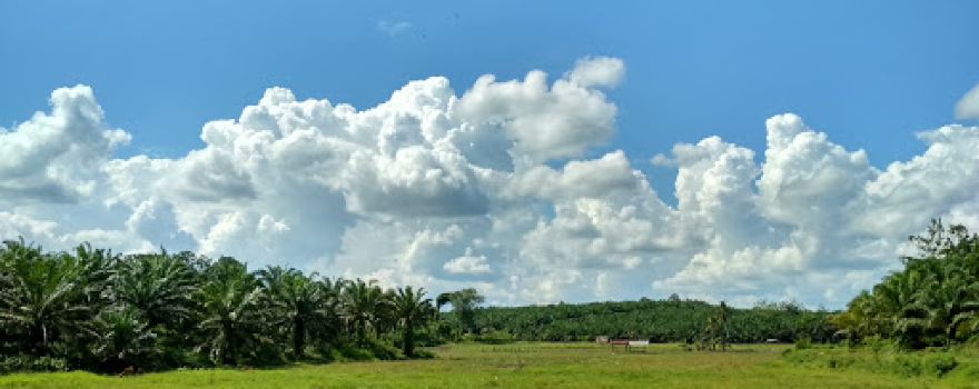 masjid nurul amin