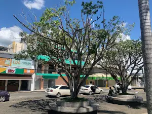 Duarte Park