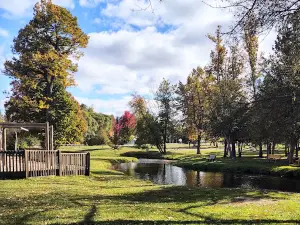 Irons Park