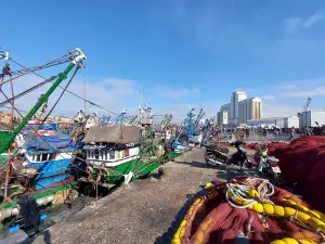 Port Of Fishing In Safi