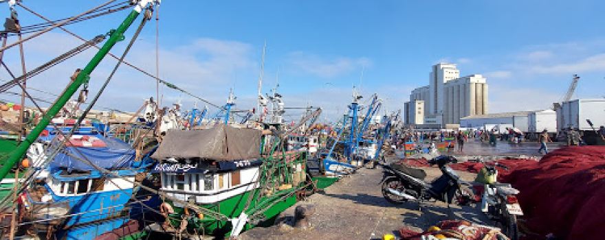 Port Of Fishing In Safi