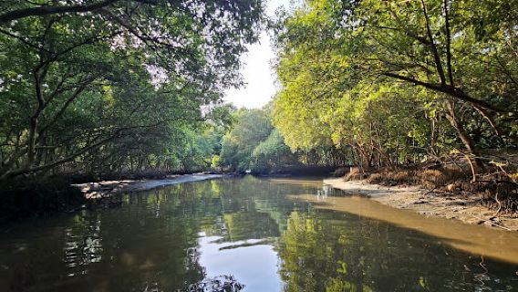 SEA BREEZE Mangrove Boating
