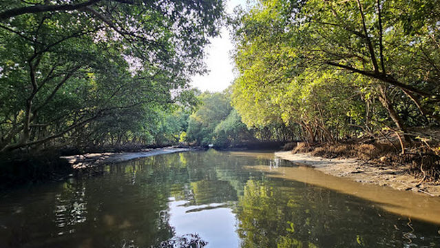 SEA BREEZE Boating pondicherry mangrove.NO.1 BOATING AGENCY IN PONDICHERRY