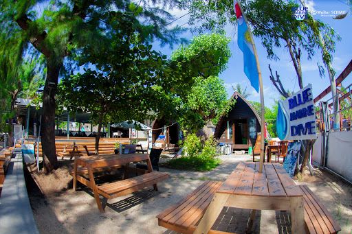 Blue Marine Dive Trawangan