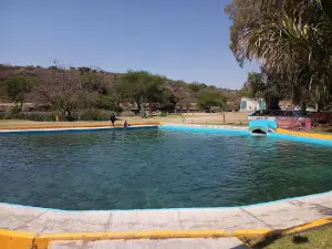 Los Ahuehuetes