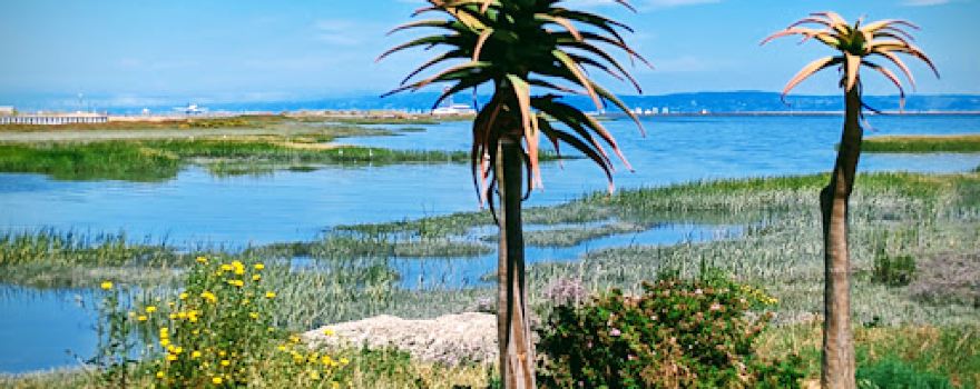 Bayfront Park