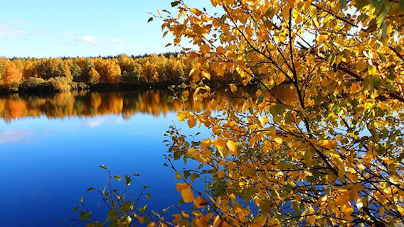 Sodankylä