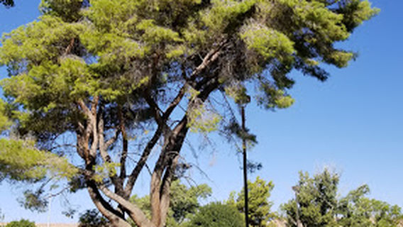 Thomas Leavitt Memorial Park