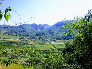 Động Tiên