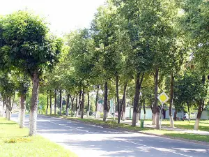 Park "Druzhby Narodov"